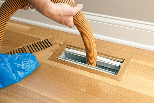 Best Air Duct Inspection  in Pittsville, MD